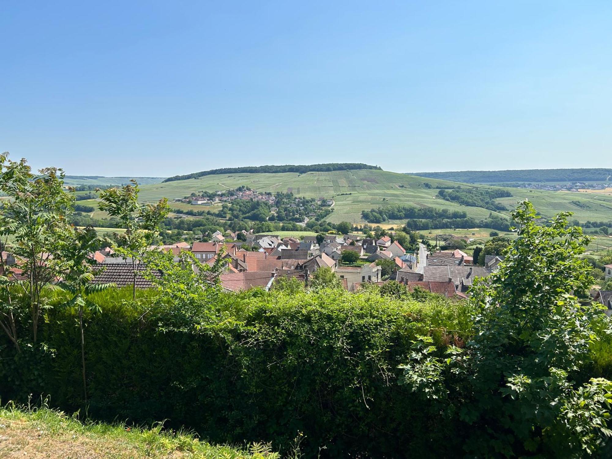 Chez Brigitte Villa Châtillon-sur-Marne Eksteriør billede